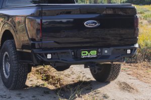 Ford F-150 Rear Bumper - DV8 Offroad - Tube design, Single exhaust models - Micro-texture black powder coat - `21-`26